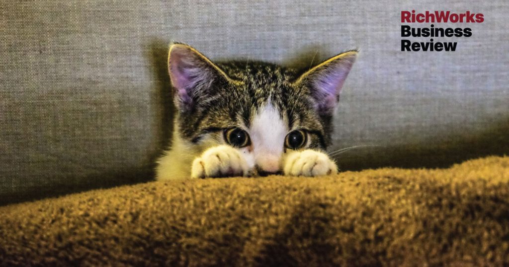 Mueeza Dikasihi Nabi SAW, 5 Fakta Berkaitan Kucing