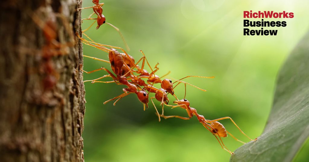 Tanpa Team Kuat, Bisnes Sukar Maju